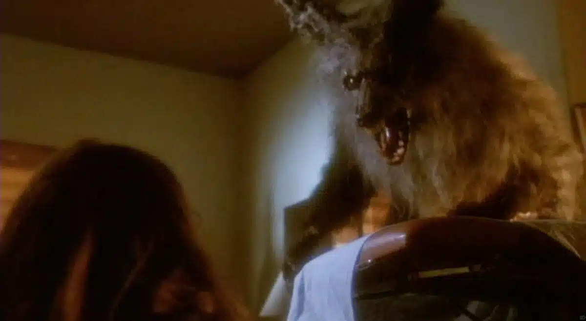 THE HOWLING (Credit: StudioCanal)