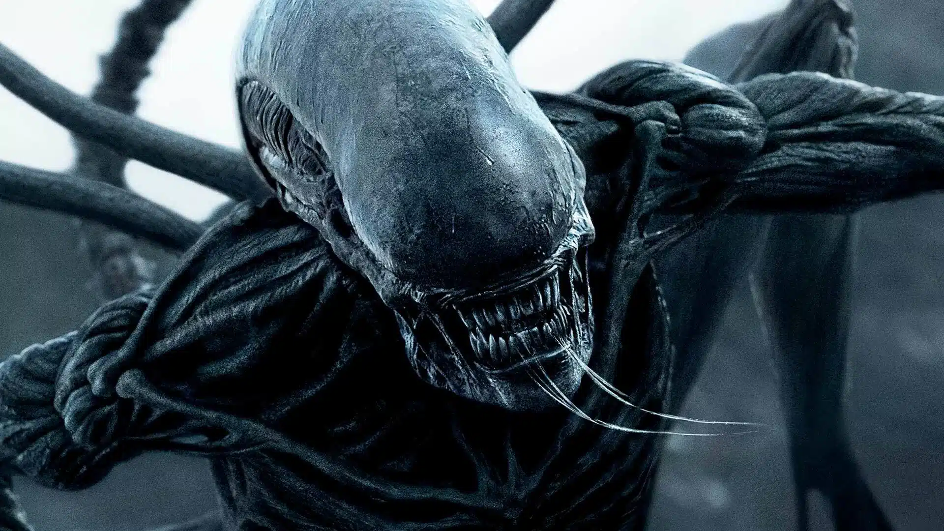 Ridley Scott's ALIEN: COVENANT monster high (Credit: 20th Century Studios)