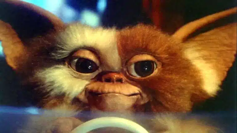 GREMLINS 3 Gets A Promising Update From Original Star Zach Galligan