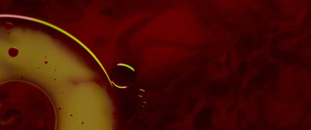 LILLY LIVES ALONE BTS