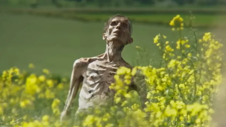 28 Years Later - Sony Pictures