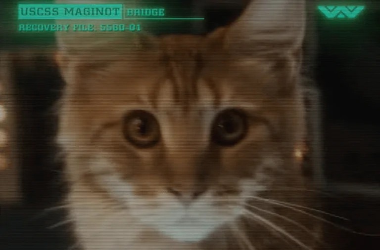 New ALIEN: EARTH Footage Explores A Spaceship From A Cat’s POV