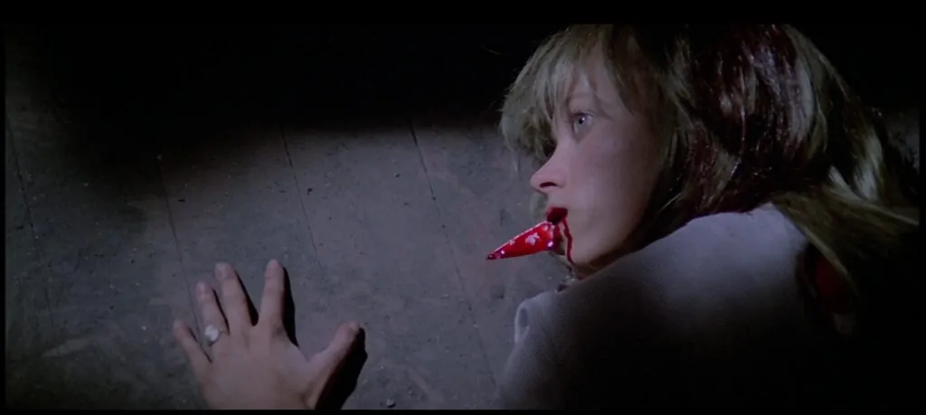 THE HOUSE BY THE CEMETERY (1981)