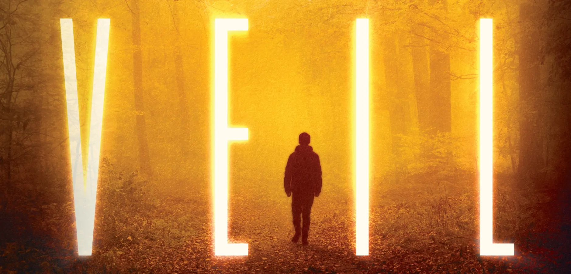 VEIL cover (Credit: Blackstone Publishing)