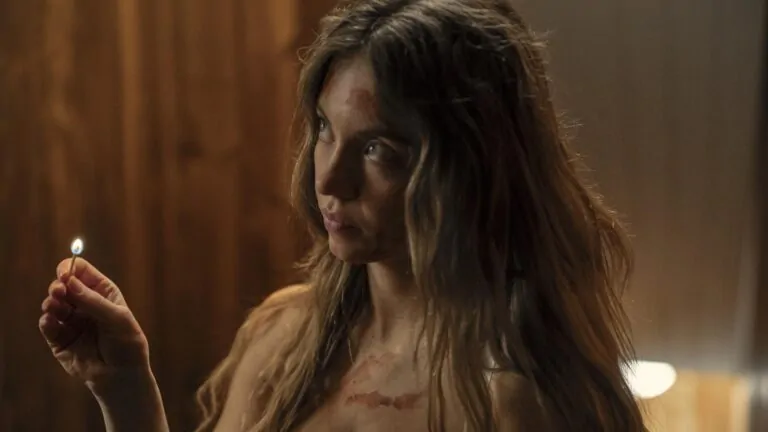 The Housemaid (Credit: Lionsgate).