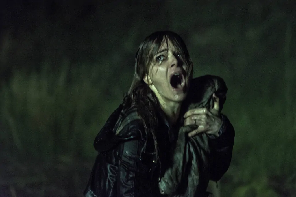 best St Patrick's Day horror movies THE HALLOW Irish horror