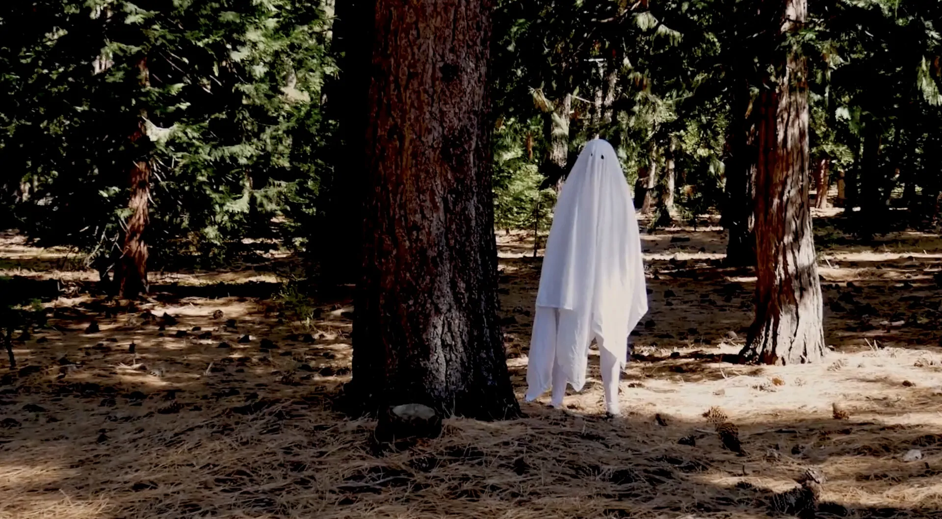 THIS HOUSE IS TOTALLY HAUNTED (Credit: Unnamed Footage Festival)