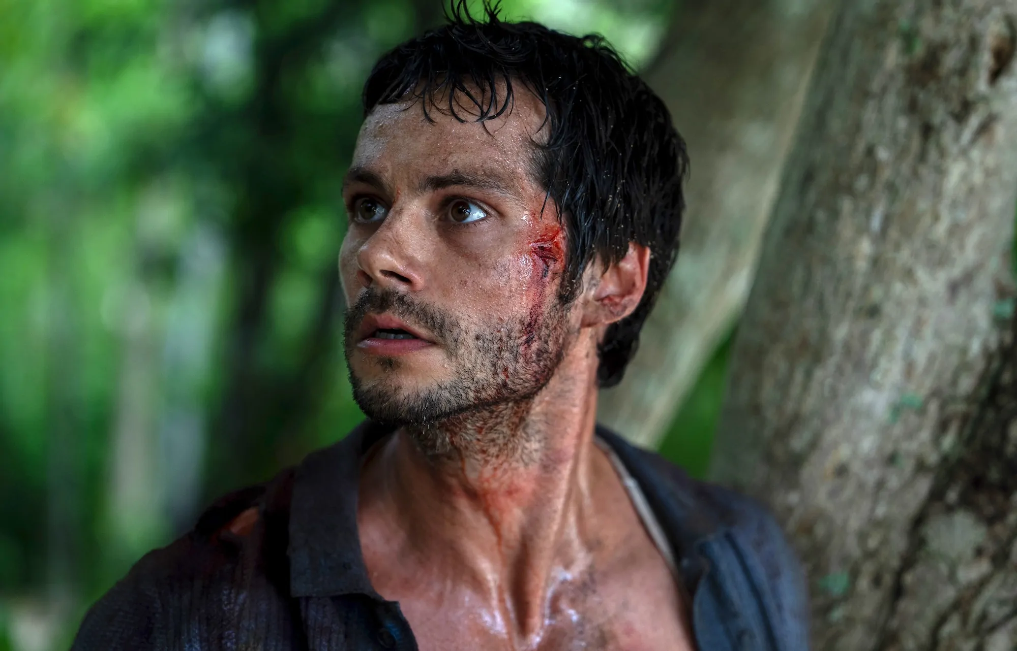 Apparatus star Dylan O'Brien in SEND HELP (Credit: 20th Century Studios)