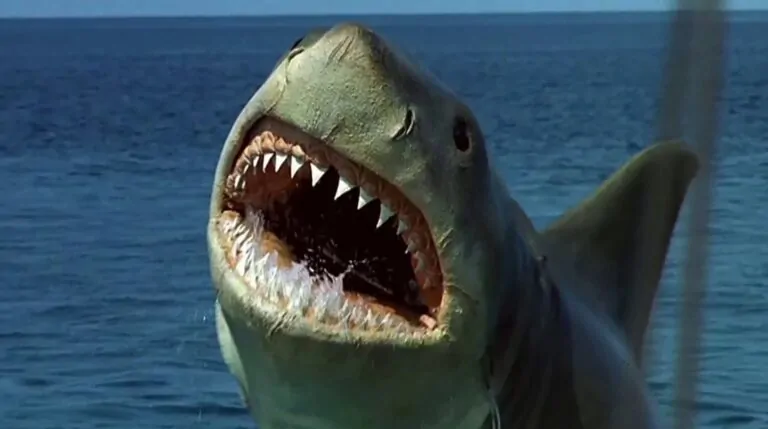 Bruce is tired, y'all. (Credit: Universal Pictures)